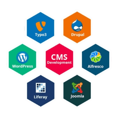CMS Development